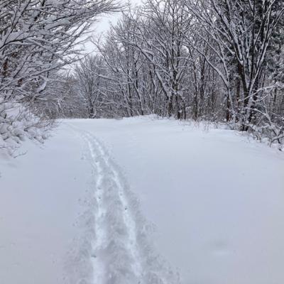 SKI Radio始めるよー SKI Radio始めるよー