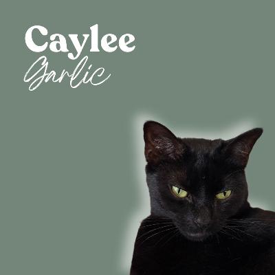 Guarded by Garlic: A Black Soul Cat Story Guarded by Garlic: A Black Soul Cat Story