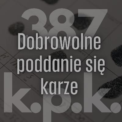 Dobrowolne poddanie się karze