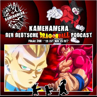 Folge 208 - Es ist wie es ist