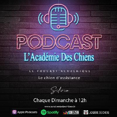 Podcast Ep7 : Les chiens de service