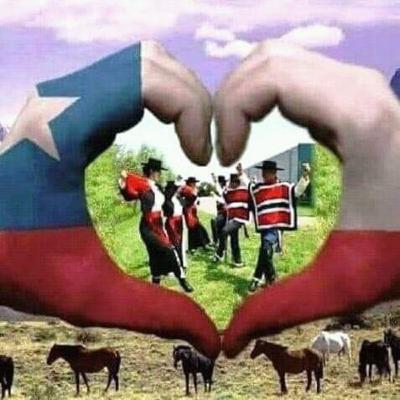 Alejandra Guzmán: "Lo del apruebo del plesbicito es un doble festejo porque la participación de aquí en más va a ser importante " Alejandra Guzmán: "Lo del apruebo del plesbicito es un doble festejo porque la participación de aquí en más va a ser importante "