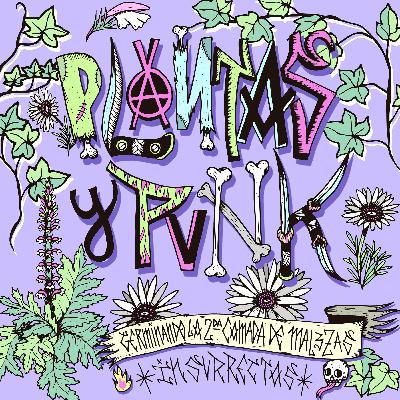 PLANTASYPUNK, AFRICA, capitulo 1 temporada 2 parte 1