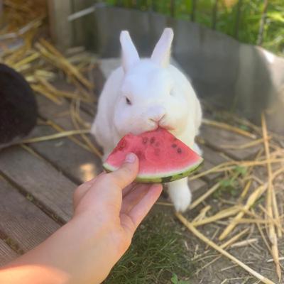 Bewertungen vorlesen🥰🍀