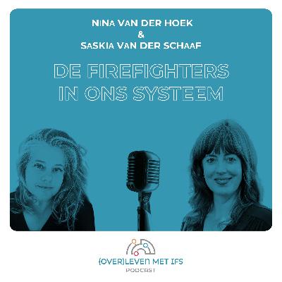 De firefighters in ons systeem De firefighters in ons systeem