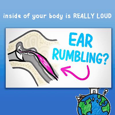 inside of your body is REALLY LOUD