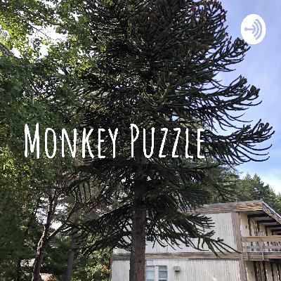 Monkey Puzzle by Olivia Avery