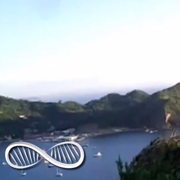 Lifehacking Self Control #9 Mental Compartmentalization