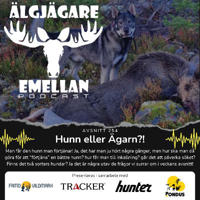 254. Hunn eller Ägarn?!