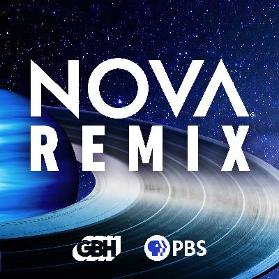 Introducing NOVA Remix Introducing NOVA Remix