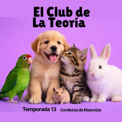 EP 113. TÉCNICAS DE MEMORIA