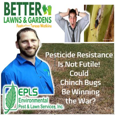 S2 Ep382: Better Lawns ande Gardens - Hour 2 Is Chinch Bug Resistance Winning? September 6 2025