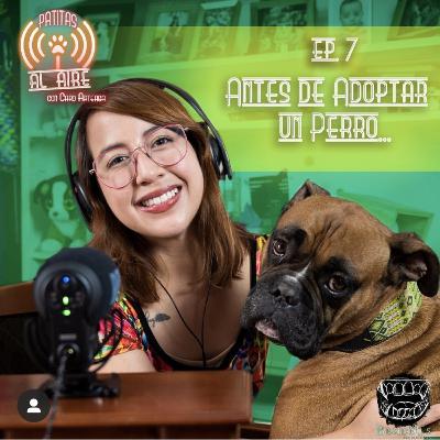 E.7 - Antes de Adoptar un Perro... E.7 - Antes de Adoptar un Perro...