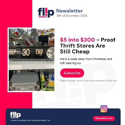 $5 into $300 - Proof Thrift Stores Are Still Cheap $5 into $300 - Proof Thrift Stores Are Still Cheap