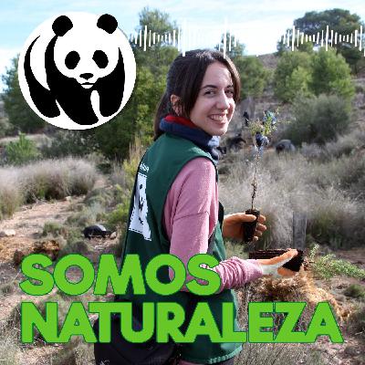 Voluntariado por naturaleza 🌱 - Ep. 8