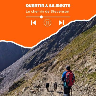 Le chemin de Stevenson avec des chiens - GR70