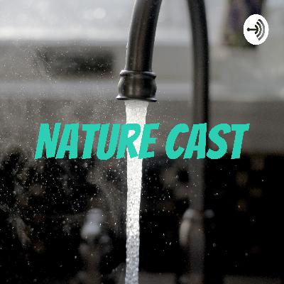 Podcast Water - Comunicação da Ciência