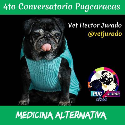 🐶☯ Medicina alternativa en mascotas
