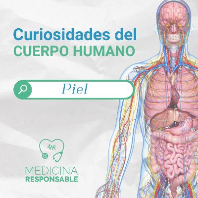 CURIOSIDADES DEL CUERPO HUMANO "PIEL"