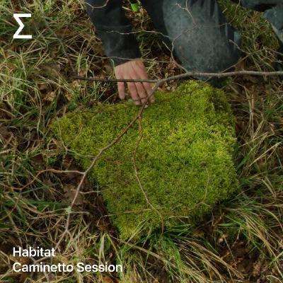 Habitat – Caminetto Session