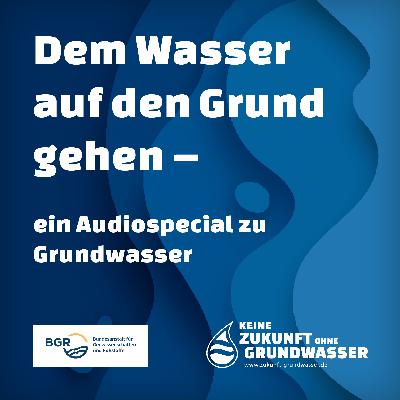 Der Heide geht das Wasser aus – Wie die Landwirtschaft sich an den Klimawandel anpasst