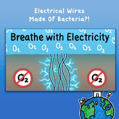 Electrical Wires Made Of Bacteria?!