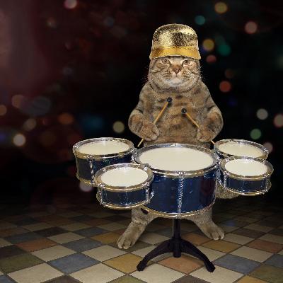Comedy Cat podcast. Life with Bucky. Guests: world-renown musician Franklin Roosevelt and drummer Kitty Harry Truman. Comedy Cat podcast. Life with Bucky. Guests: world-renown musician Franklin Roosevelt and drummer Kitty Harry Truman.