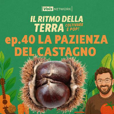 LA PAZIENZA DEL CASTAGNO - ep 40 - Il ritmo della terra, coltivare è pop! LA PAZIENZA DEL CASTAGNO - ep 40 - Il ritmo della terra, coltivare è pop!