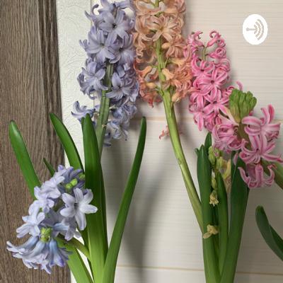 Этапы развития Земли