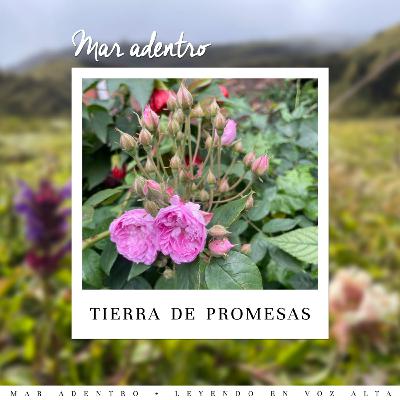 14. Tierra de promesas