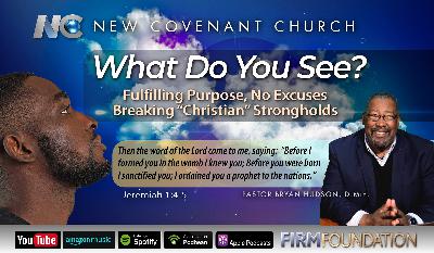 What Do You See? Fulfilling Purpose, No Excuses – Breaking “Christian” Strongholds What Do You See? Fulfilling Purpose, No Excuses – Breaking “Christian” Strongholds