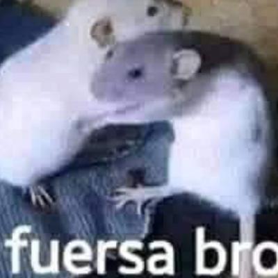 Niñas bn
