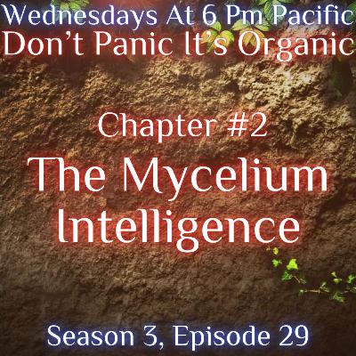 The Mycelium Intelligence