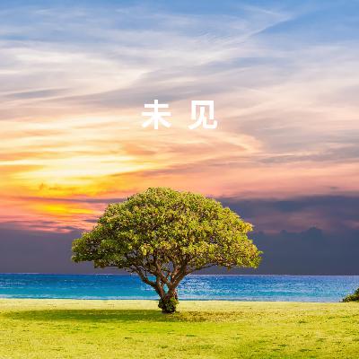 未见
