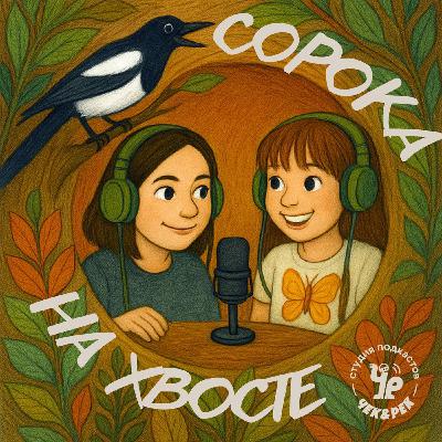 Что принесла нам «Сорока на хвосте»