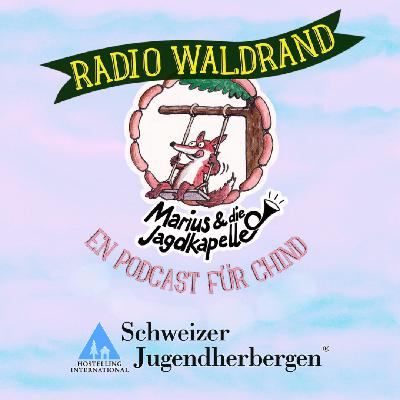 2.7. S Seichhörndli uf Bsuech i de Jugendherberg | En Podcast für Chind