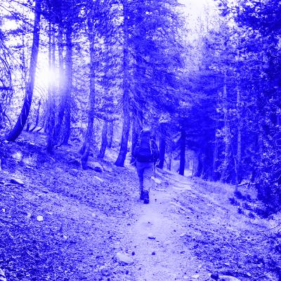 CHASSE A L'HOMME...(THREAD HORREUR)