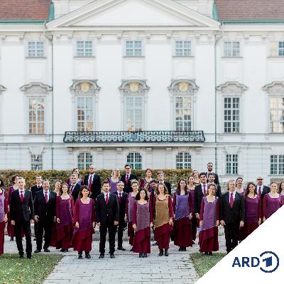 Chorus Sine Nomine - Ein Wiener Chor spielt mit Traditionen