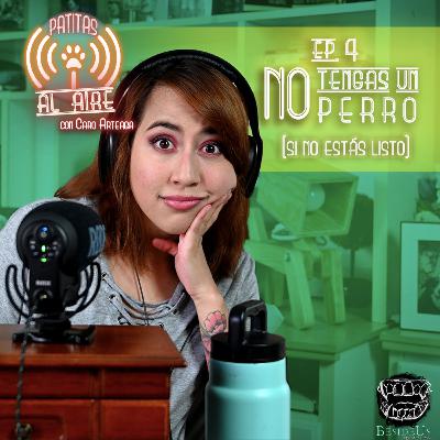 E.4 - "No Tengas un Perro" (Si no estás listo). E.4 - "No Tengas un Perro" (Si no estás listo).