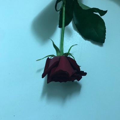 #127 「お前、1年間何してた？」のアンサー/お返しトーク from Radiotalk