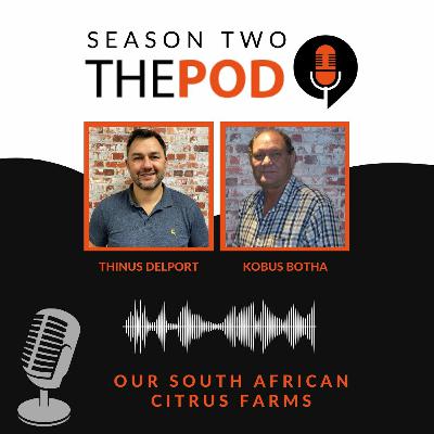 Ep. 26- Our South African citrus farms Ep. 26- Our South African citrus farms