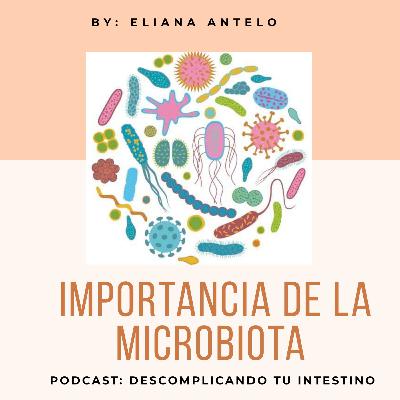 Microbiota Y Su Importancia Microbiota Y Su Importancia