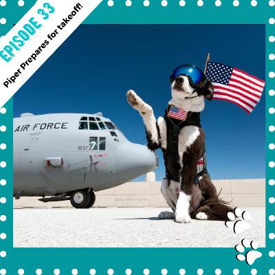 Ep 33: Piper Prepares for Takeoff!!!