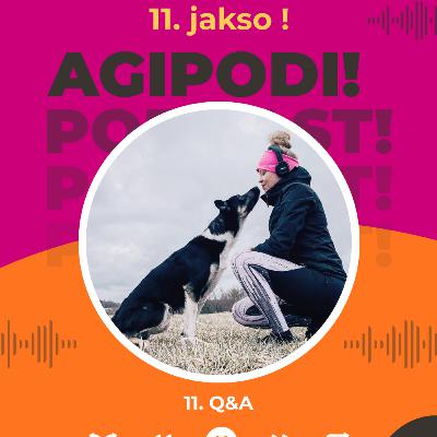 11. Q&A