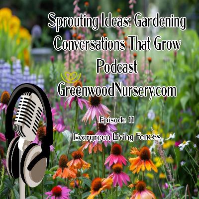 Episode 11 - Evergreen Living Fences Episode 11 - Evergreen Living Fences