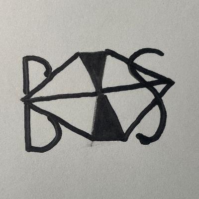 BS Not Really Podcast Intro