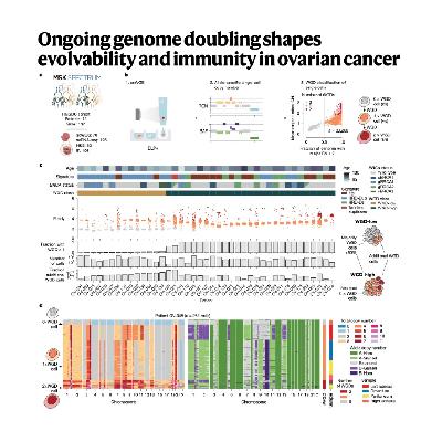 313-Whole Genome Doubling Remodels Ovarian Cancer Evolution 313-Whole Genome Doubling Remodels Ovarian Cancer Evolution
