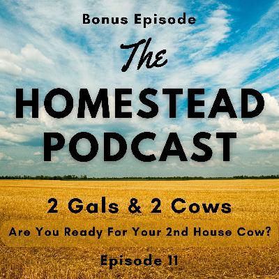 Ep. 11 - Are You Ready For Your 2nd Family Cow? - 1 Gal & Special Guest Kelsey DeMaris - BONUS