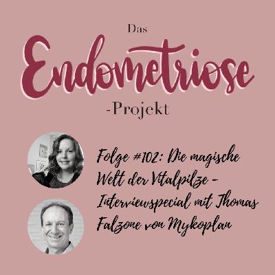 Die magische Welt der Vitalpilze