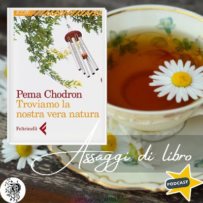 Troviamo la nostra vera natura -  Pema Chodron ★ Assaggi di Libro ★